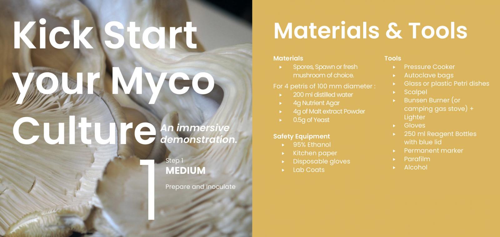 Myco-Culture booklet